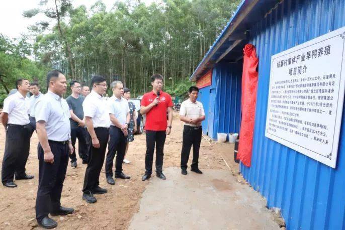 副县长杨召绪,北部湾新材料公司党委书记,董事长黄庆周出席揭牌仪式并