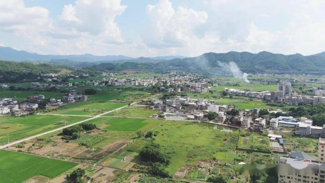 梅县丙村 | 古怪才子真"雀"怪,举人还能有半个?