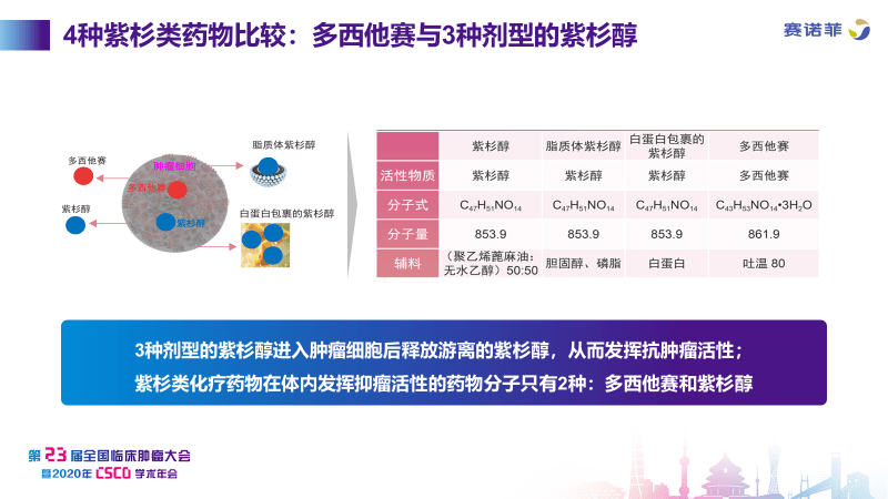 脂質體紫杉醇,白蛋白紫杉醇)和多西他賽,且在體內發揮抑瘤活性的