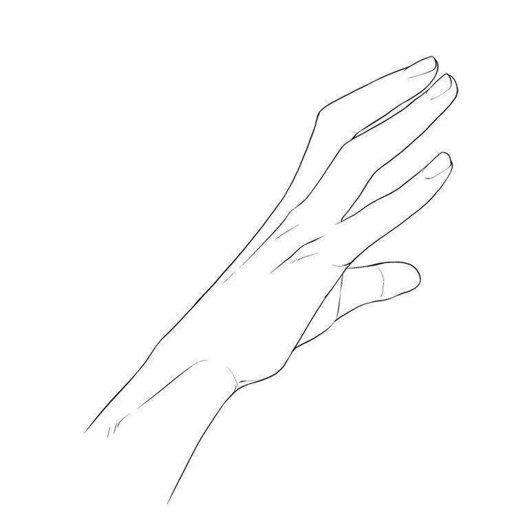 女性手部画法图片