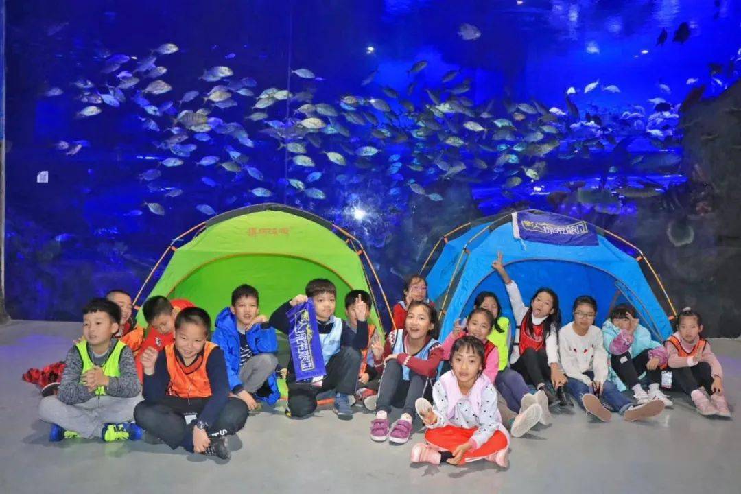 最后10个名额10月2日夜宿海洋馆乘风破浪驰骋极地海洋