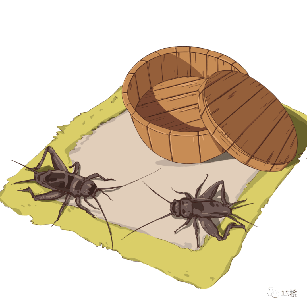 一帮老杭州聚在一起玩这个,被抓了_蛐蛐