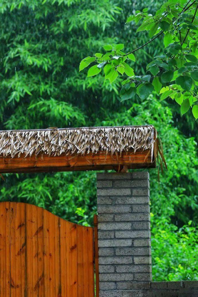 舞雩诗经210小雅信南山