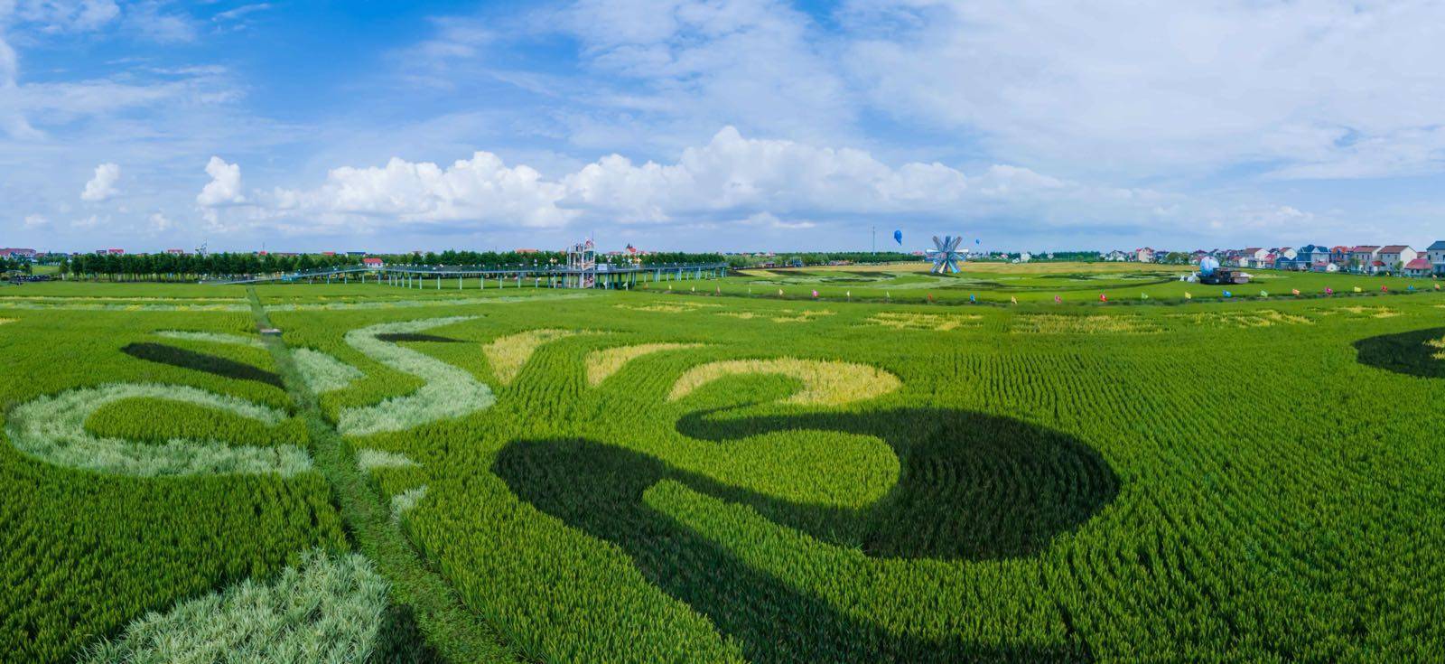 橫沙島旅遊開發有限公司承辦,華東師範大學旅遊規劃與發展研究中心