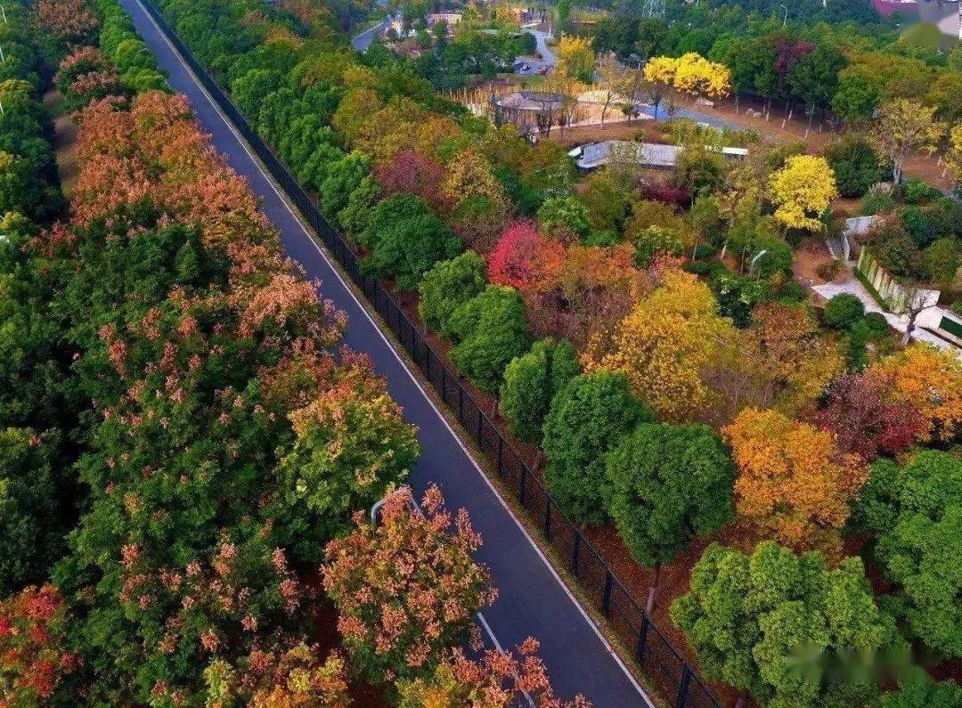 征集最美塔子湖摄影大赛开始啦用镜头定格你和塔子湖的故事