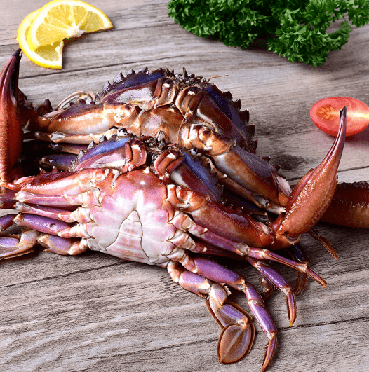 螃蟹8.8元起!润恒海鲜必buy清单,一降到底,就是够优惠!