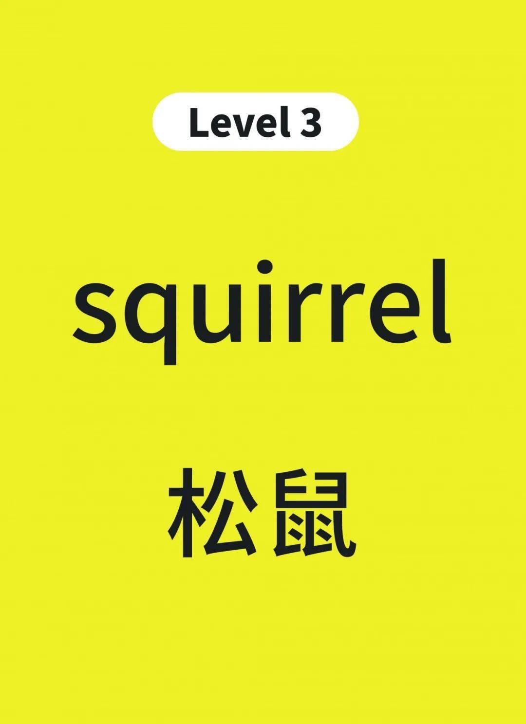 根据小学新课标梳理,小学阶段要掌握的核心单词 | 第8组