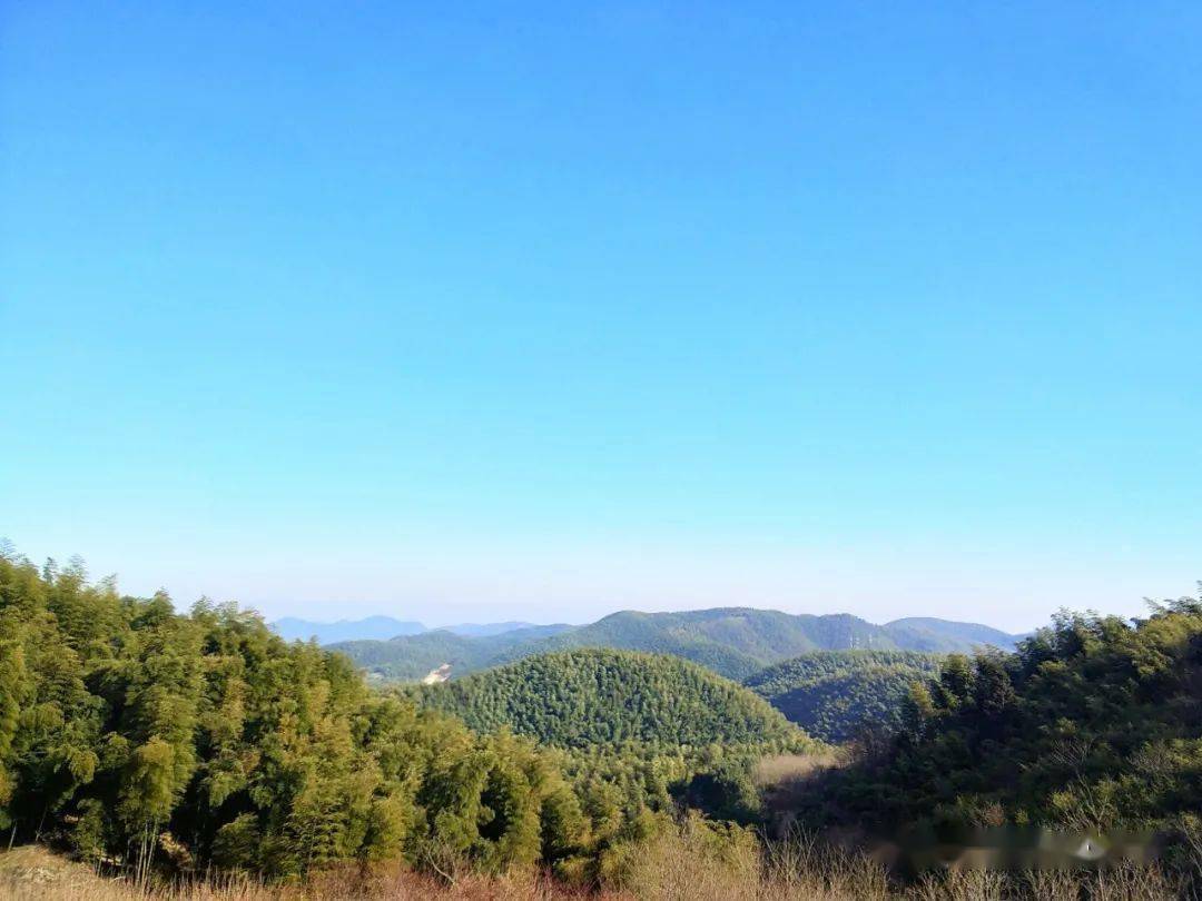 王岙松嶺古道適合初秋登高的深山竹海步道