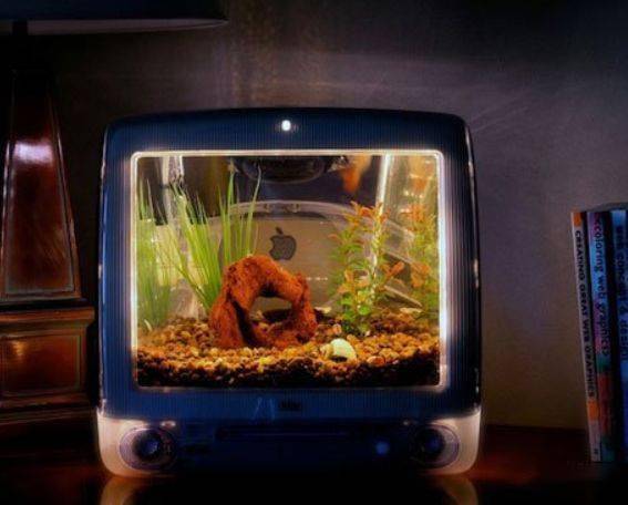 太作了养鱼叫人又爱又恨从今天开始咱们用点正常的方式工具来养鱼吧