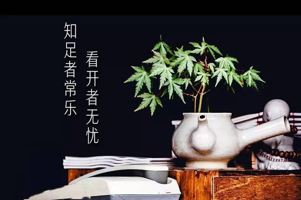 知足者常樂,看開者無憂