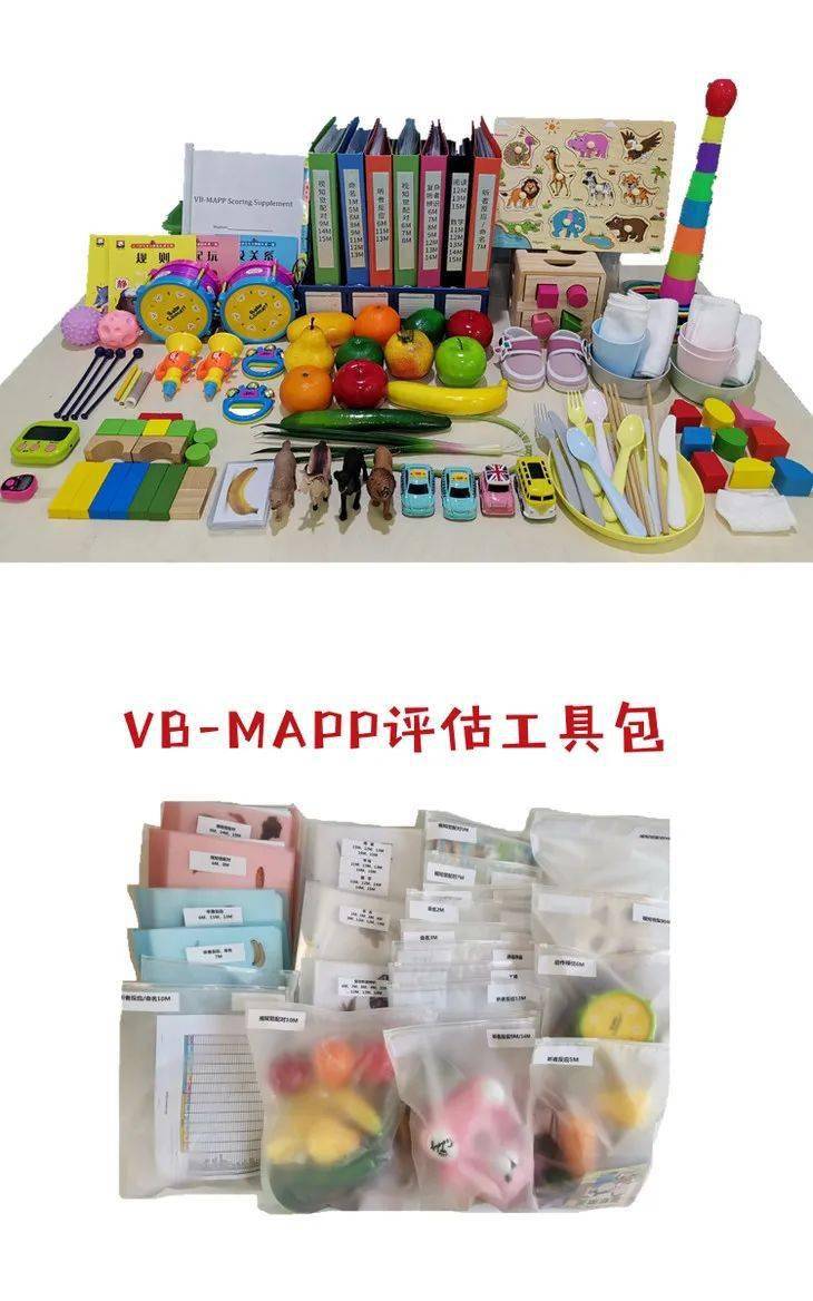 秒杀vbmapp评估工具语言迟缓自闭症言语评估