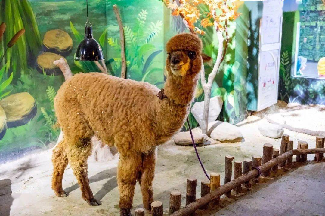 滁州人最不该错过的地方,就在这儿!