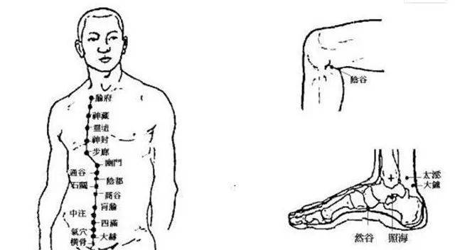 經絡不通應當先調哪條經