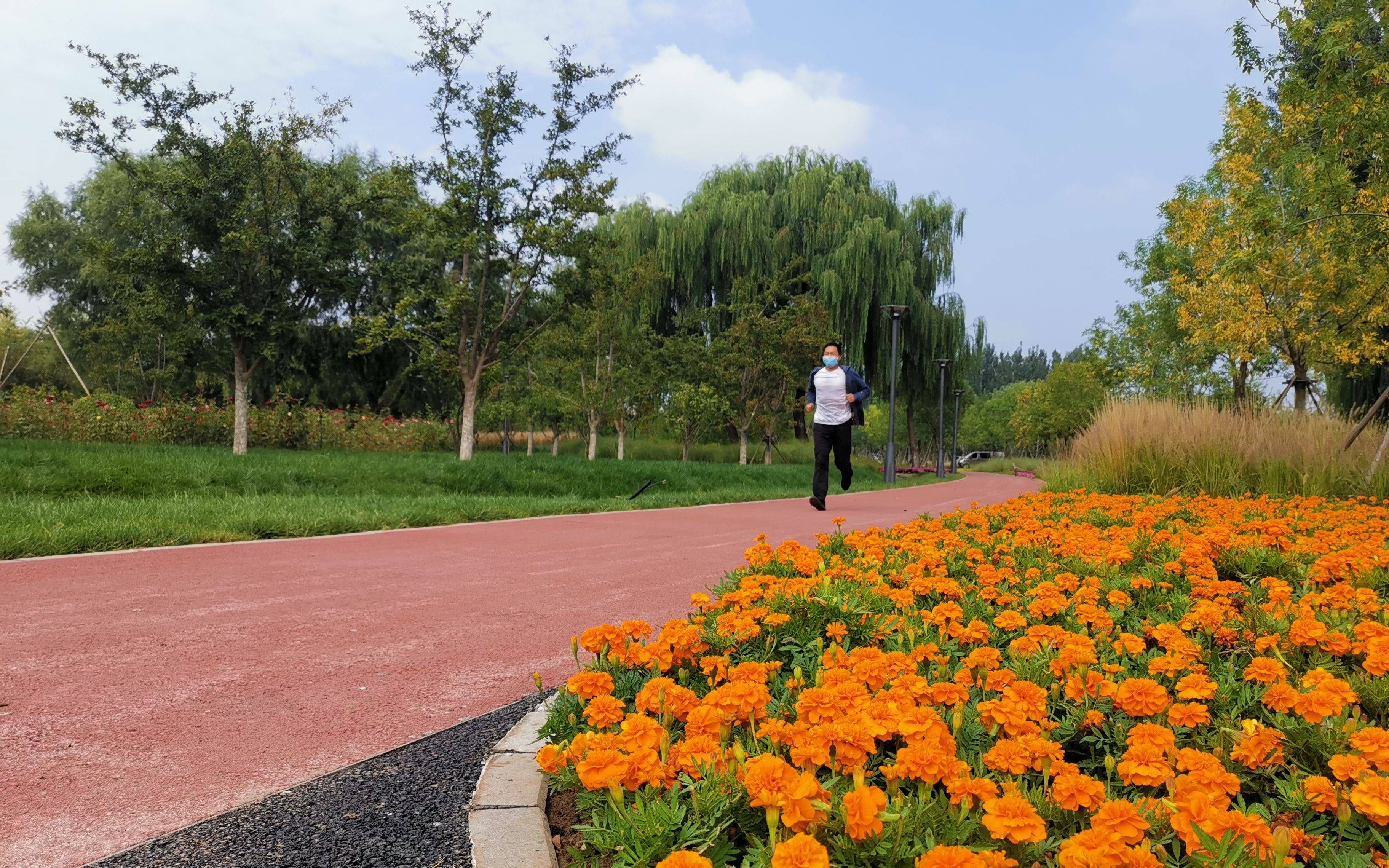 城市綠心森林公園下週二開園遊覽攻略來了