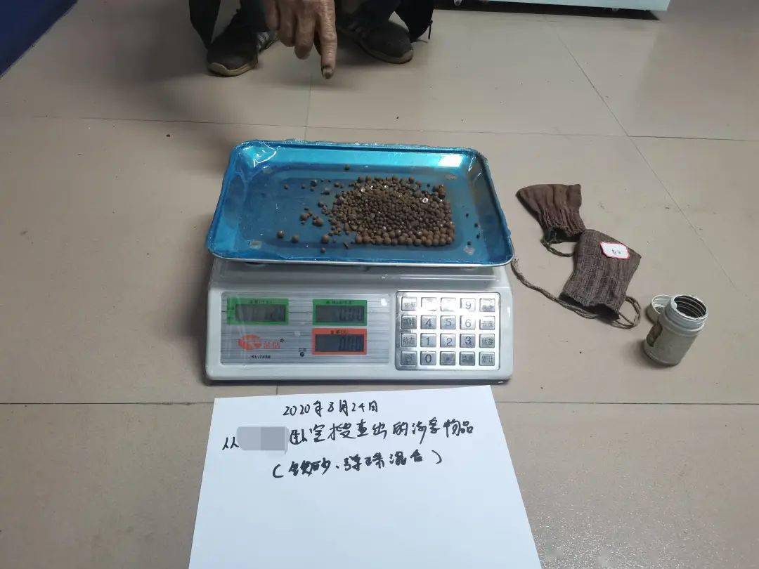 宾川一对父子制枪捕山鸡解馋结果