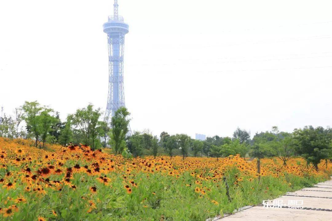 你好我是周口东新区这是我2020年的新名片