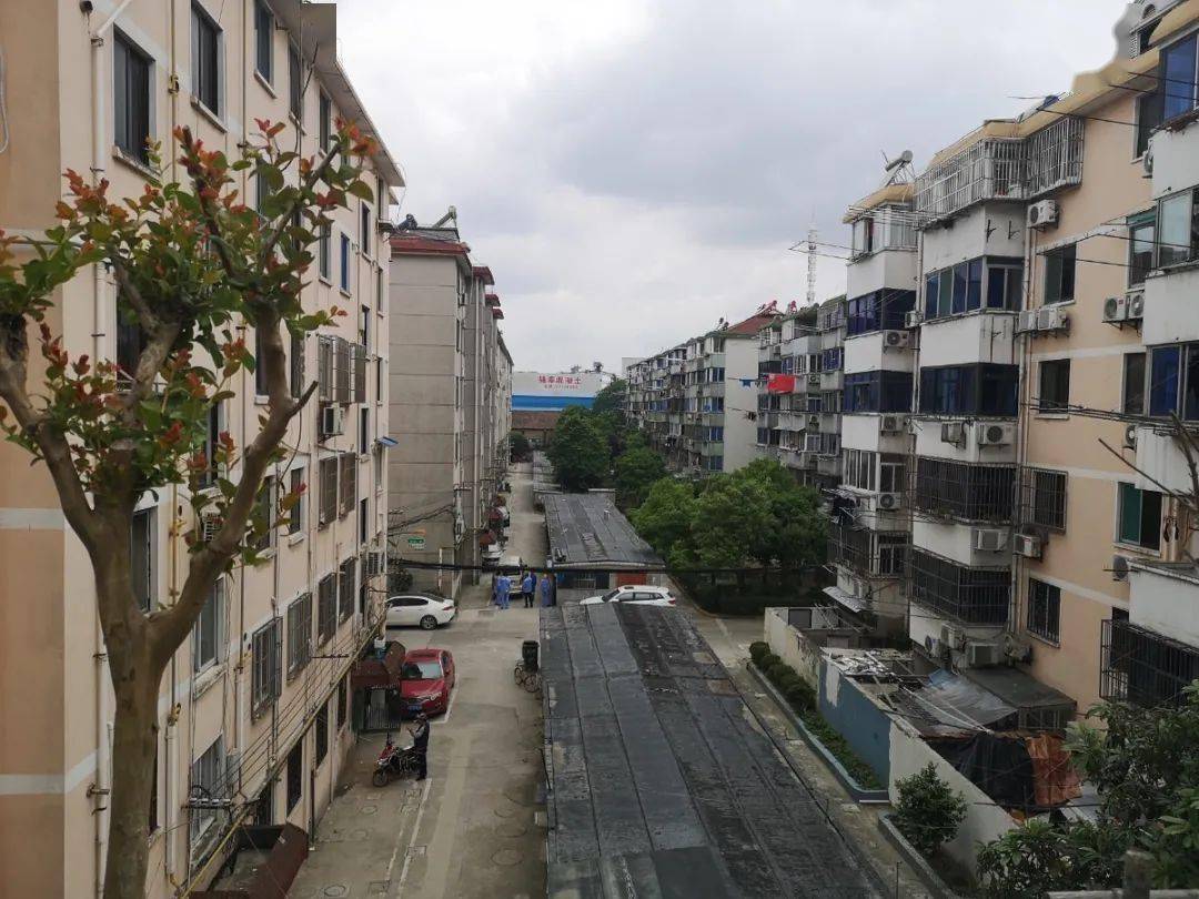 这样美的老旧小区,爱了,爱了!