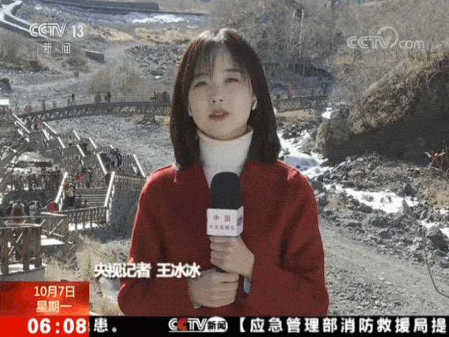 央视记者王冰冰动图图片