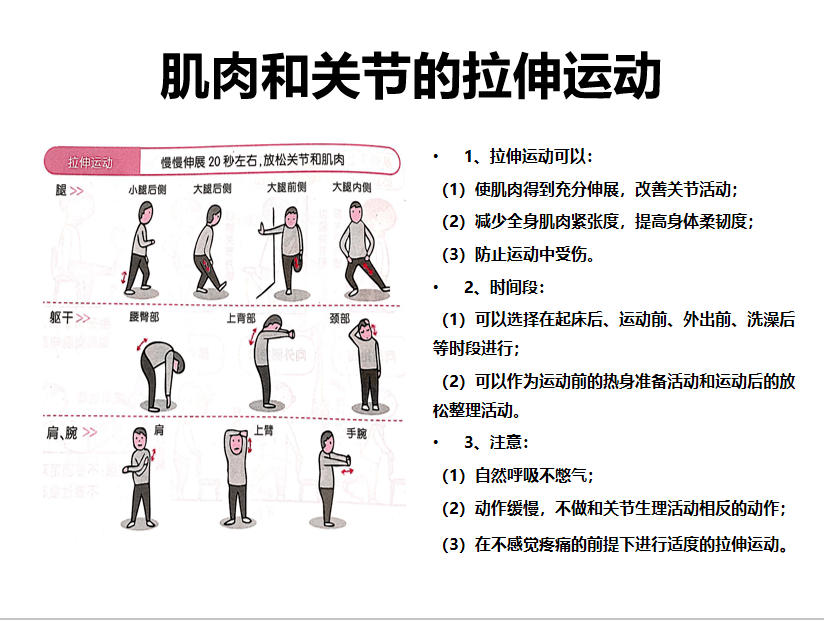 【护心宝典9】心脏康复之运动疗法