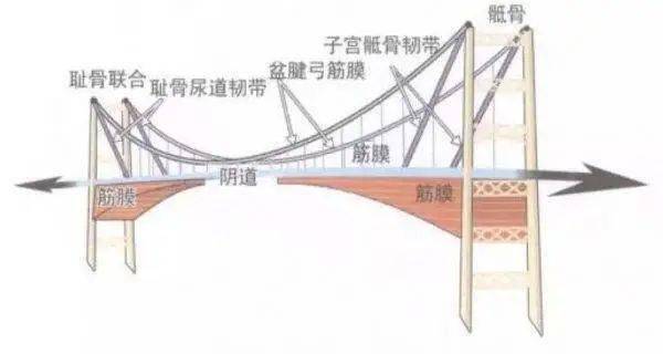 桥梁引道示意图图片