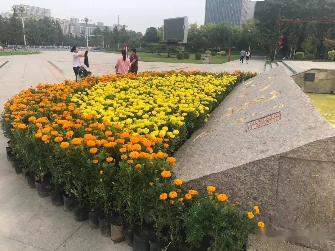 沙河摆放5万余盆花卉喜迎双节