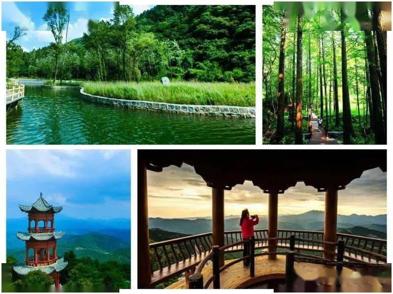 【秀美燕子山】9月26/27灵宝燕子山国家森林公园休闲1日游