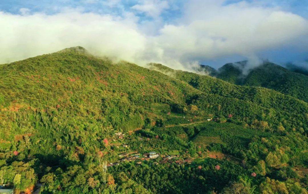 探秘藏在高山上的古韻杯中的一抹甘醇困鹿山