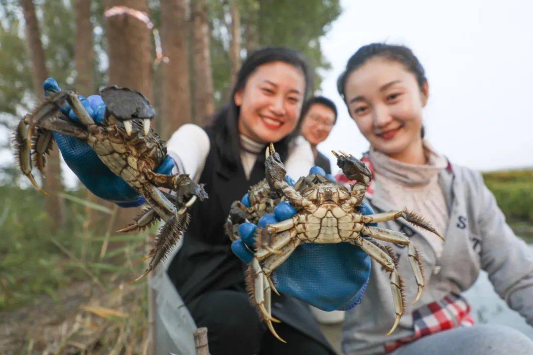 "抓到了抓到了!""小心点儿,别让螃蟹给夹到了!""我逮着一只,个头不小!
