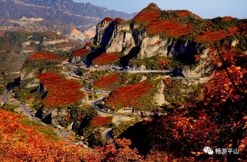 這用來形容天桂山最為合適,天桂山位於石家莊平山縣北冶鄉境內,大片的