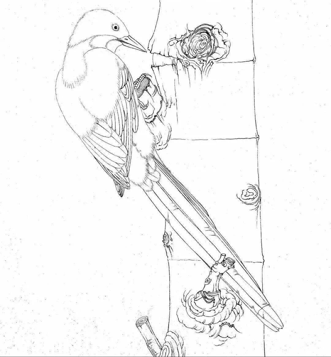 图文教程李晓明工笔灰喜鹊设色详细文字解析