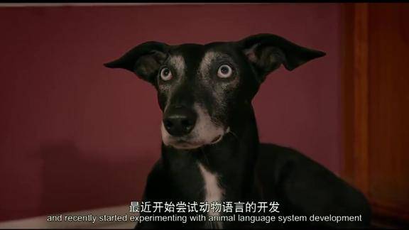 动物出击布鲁斯告诉小女孩为什么能听懂动物的声音