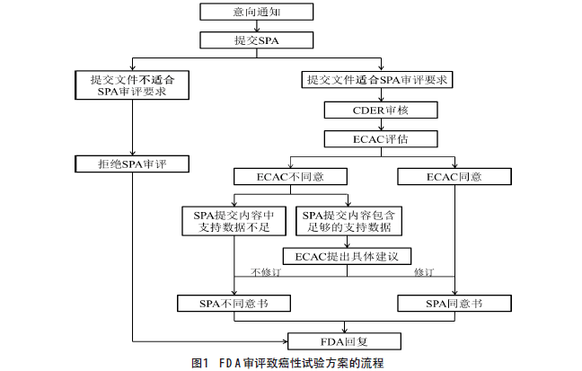 FDA关于致癌性试验“特别方案评估”的流程和 相关法规的介绍与探讨-搜狐大视野-搜狐新闻