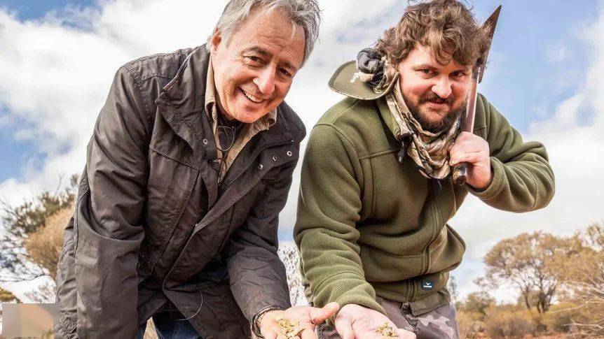 金价一路看涨,澳洲人真的跑到郊区挖金子了._手机搜狐网