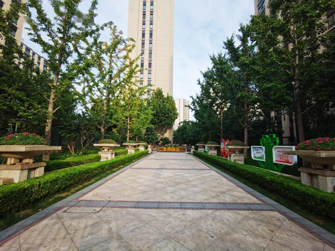 金茂悦社区用美不胜收的视觉盛宴喜迎国庆中秋双