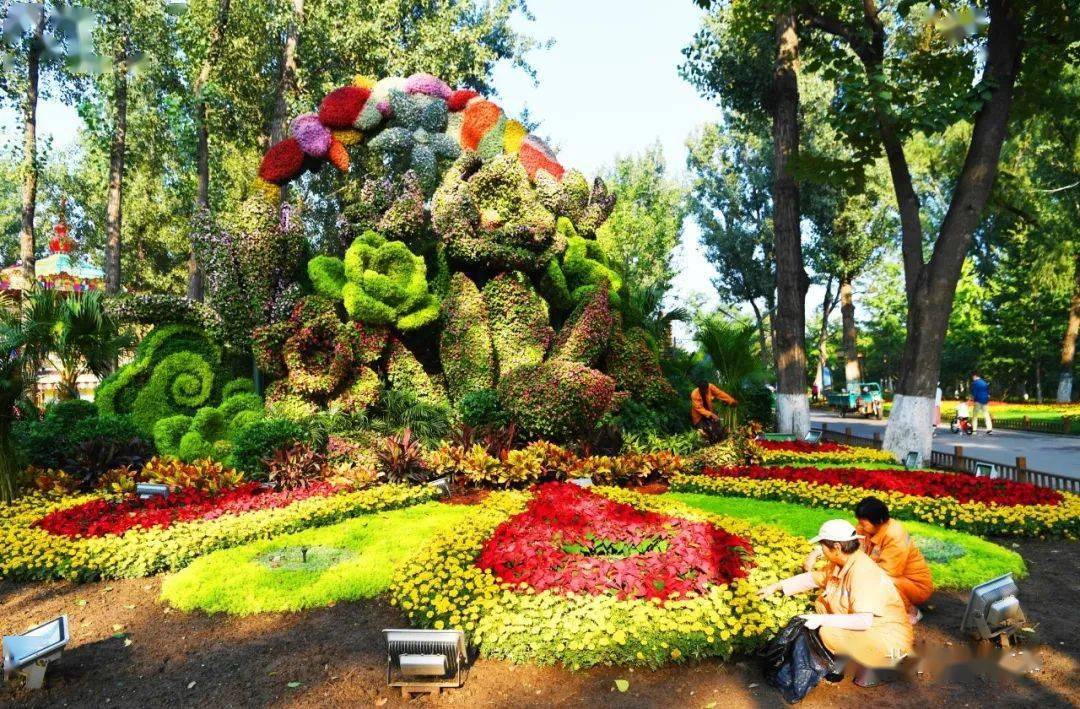 大运河森林公园国庆摆花亮相!百万株花卉,超多造型