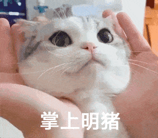 318_278gif 动态图 动图