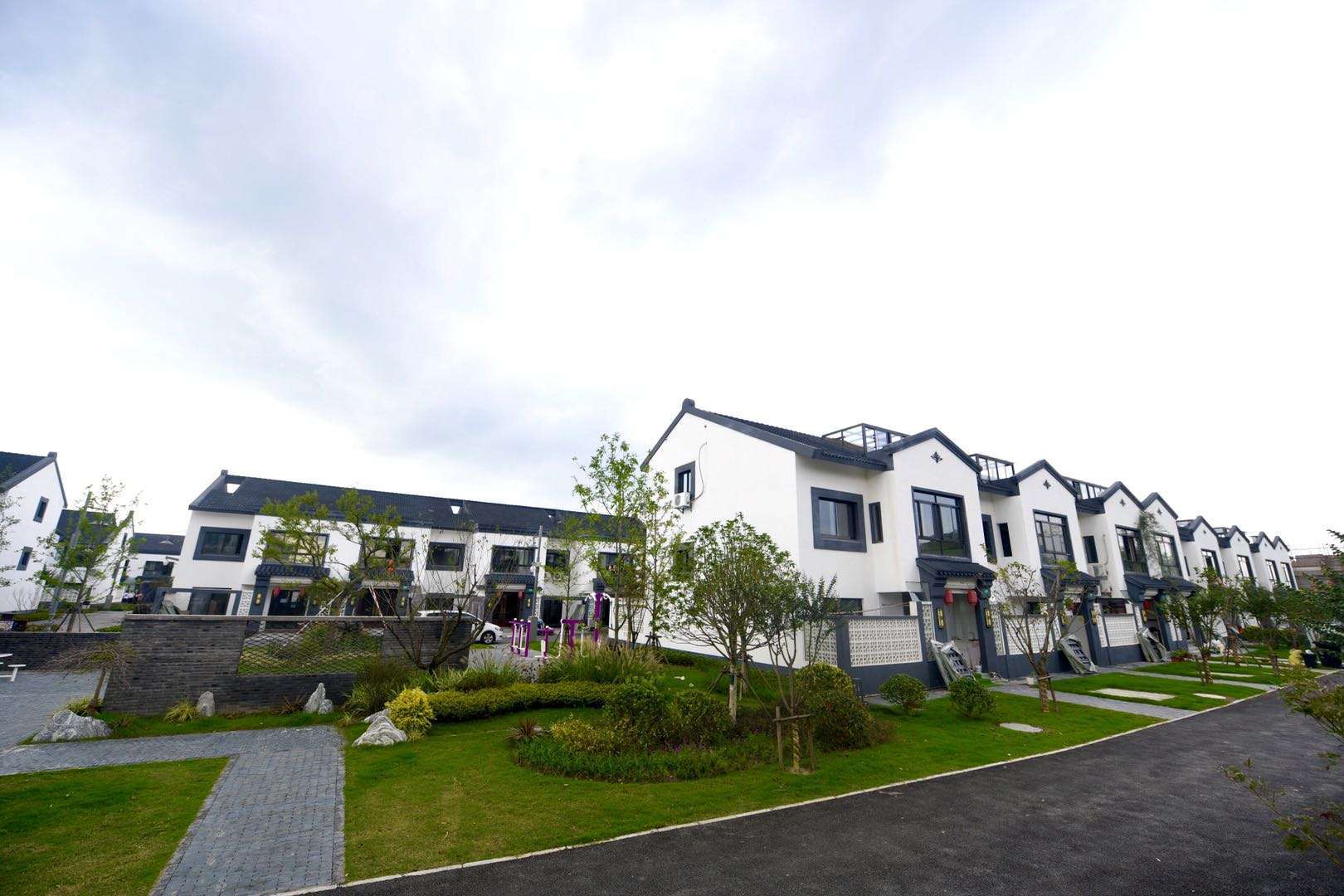 潮涌长三角黛瓦白墙上海郊区的新农村是这番样貌