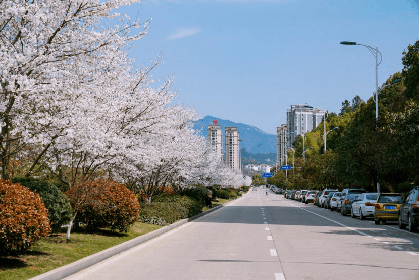 旭山路(缙云县)绿化美化示范路:松溪路(江滨南路-高速出入口)(龙泉市)