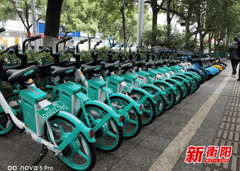 你文明我点赞小习惯大文明衡阳有了共享单车风景线