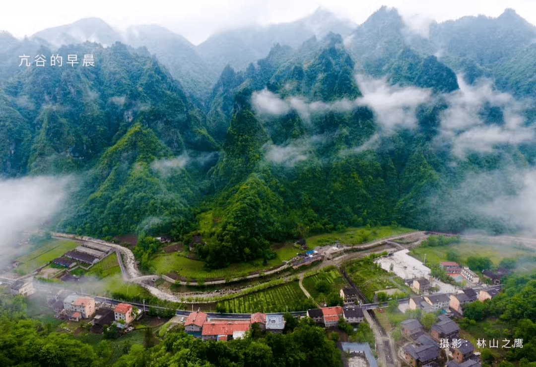 脫貧之路城口打好富硒牌生態農業扶貧讓村民錢包鼓起來