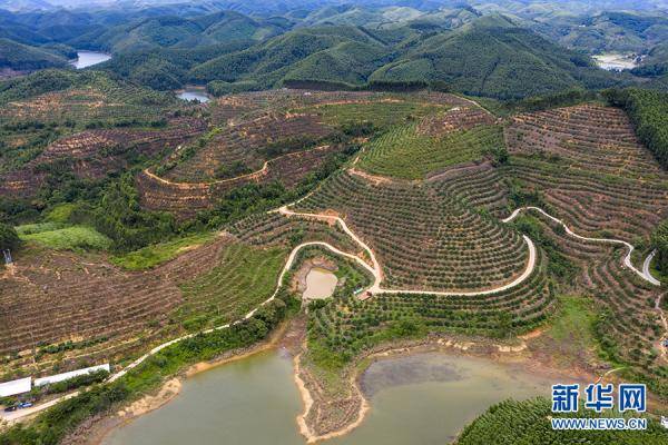 武鸣仙湖镇图片