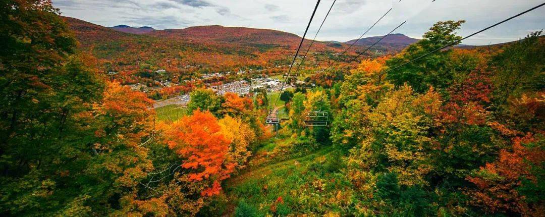 2020美东8大赏枫叶地图!撒野去～_手机搜狐网