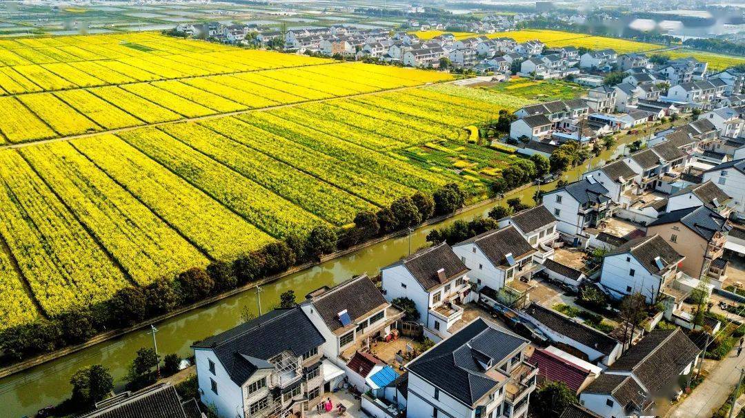 资讯丨江苏省第四批次特色田园乡村名单公布,同里镇北联村上榜!