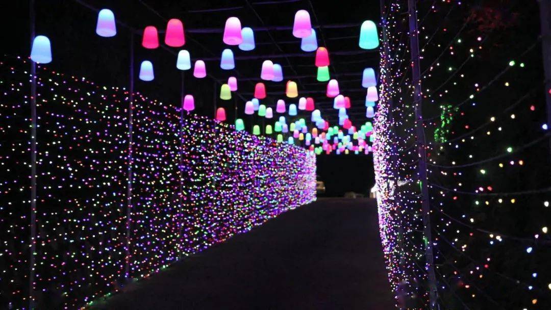 请签收这份国庆游玩攻略,家门口的大型网红灯光夜市来咯