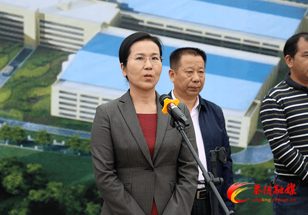 县委书记江小忠出席仪式并宣布项目正式开工,马文平,肖雄,罗智勇,刘峥