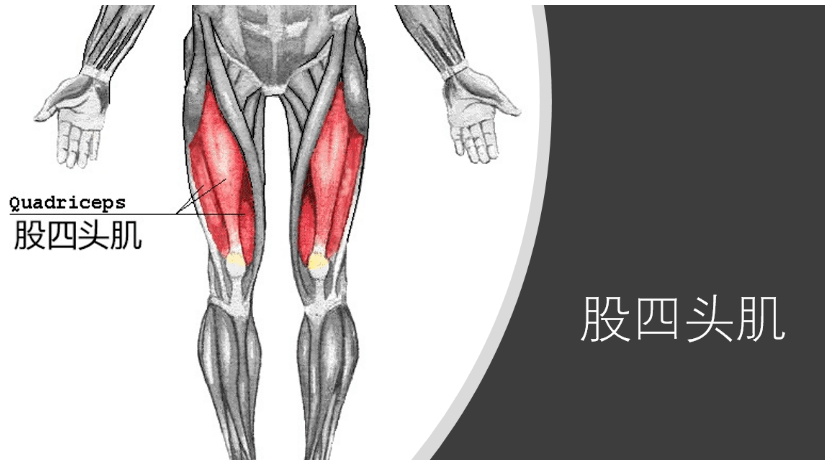 提升跑步小技巧——螃蟹步 股四头肌