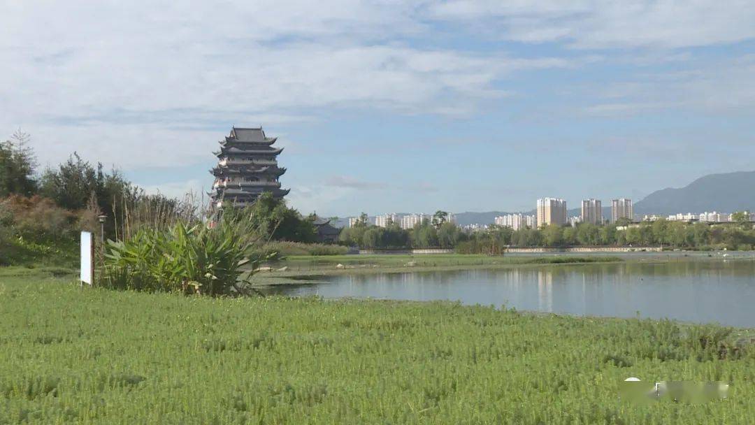 "国庆""中秋"双节即将来临 ,隆阳区青华街道结合爱国卫生"7个专项行动