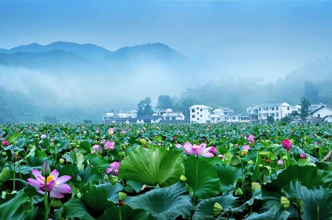 瑰丽绝特去洪门湖感叹山中风景非人间站立仙都观宇门前遥望群山既有