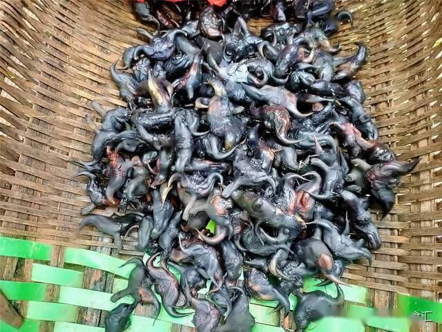 早在8月份有莲子卖的时候,悦悦就一直在找菱角,想着用莲子,莲藕和菱角