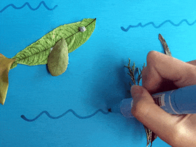 640_480gif 动态图 动图